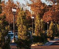 whatley-cf10-campus-composite-light-poles