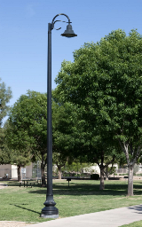 whatley-cf10-composite-park-pole
