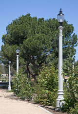 whatley-cf50-park-composite-light-poles
