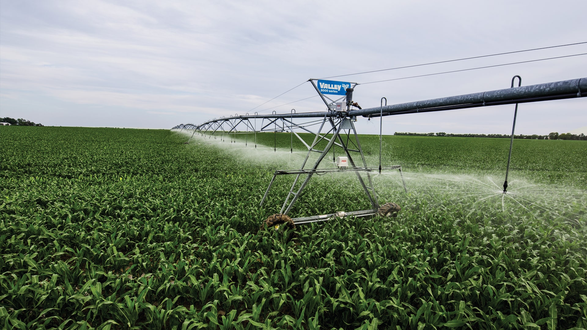 Combat Drought with Precision Irrigation