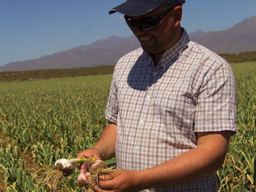 Irrigation Technology Allows Farmers to Maximize Water Use in Argentina