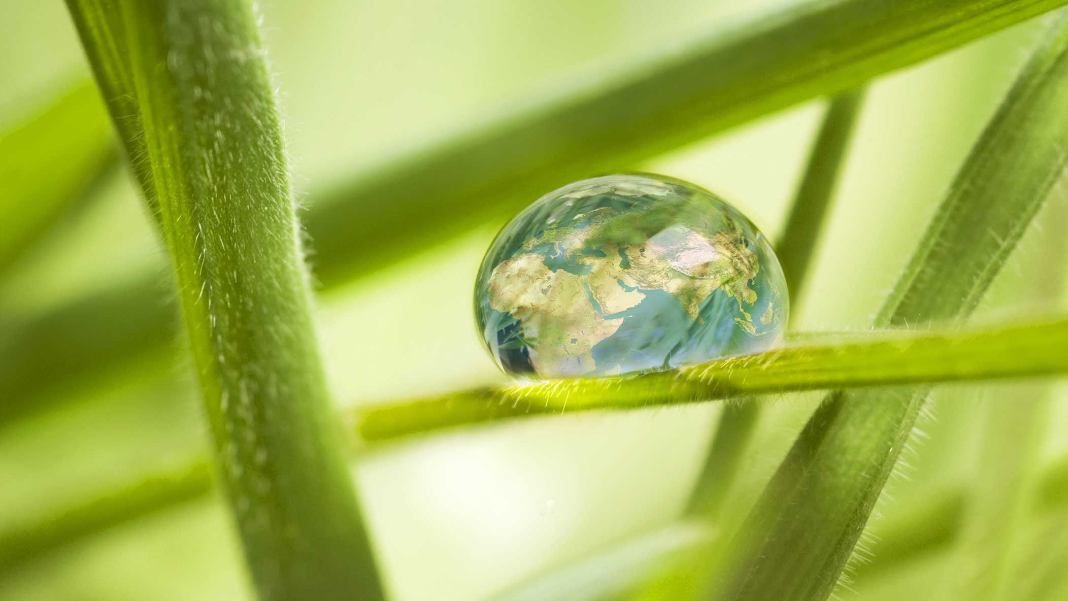 SMALL-432.59x243.33_Water-drop-with-Globe-image-on-Plant-Leaf