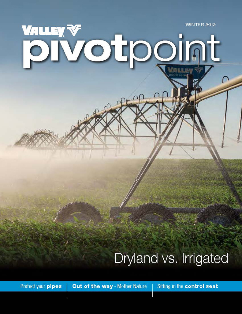 Valley PivotPoint Newsletter Winter 2012
